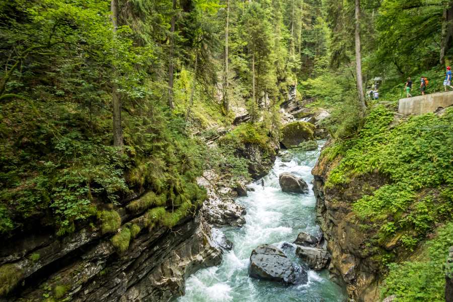 Explore the Best Hiking Trails in Kleinwalsertal