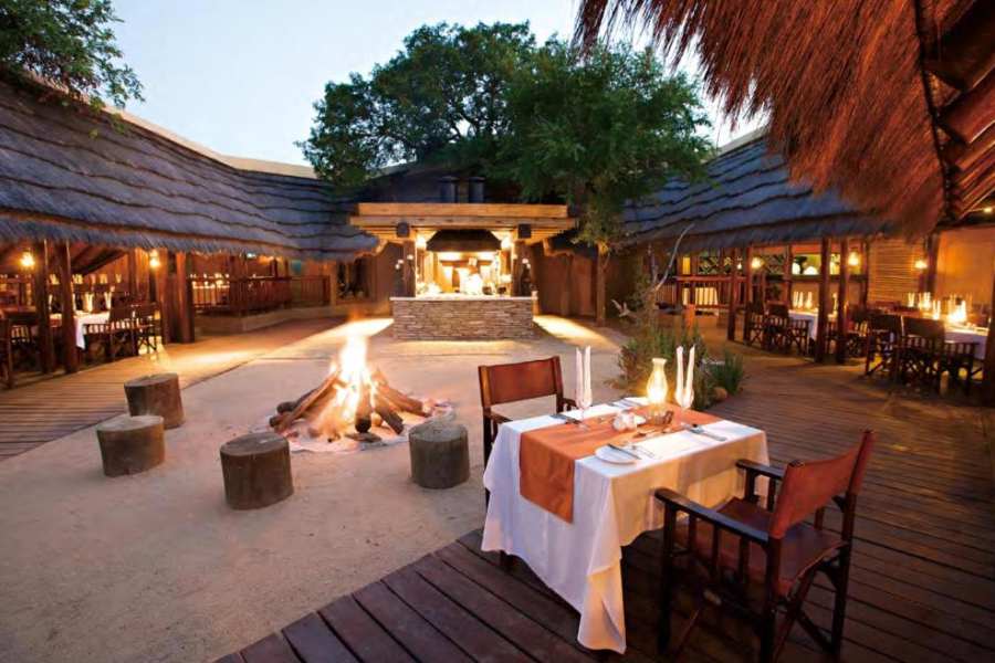 Immerse Yourself in the Beauty of the Bushveld